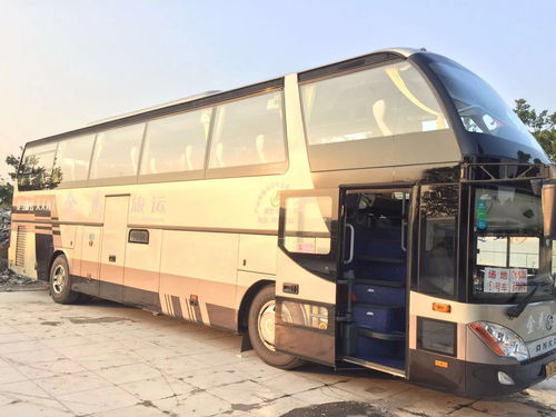 廣州天河區53座大巴車出租公司電話與租車服務全攻略